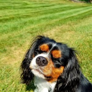 Meet your Posher, Donna